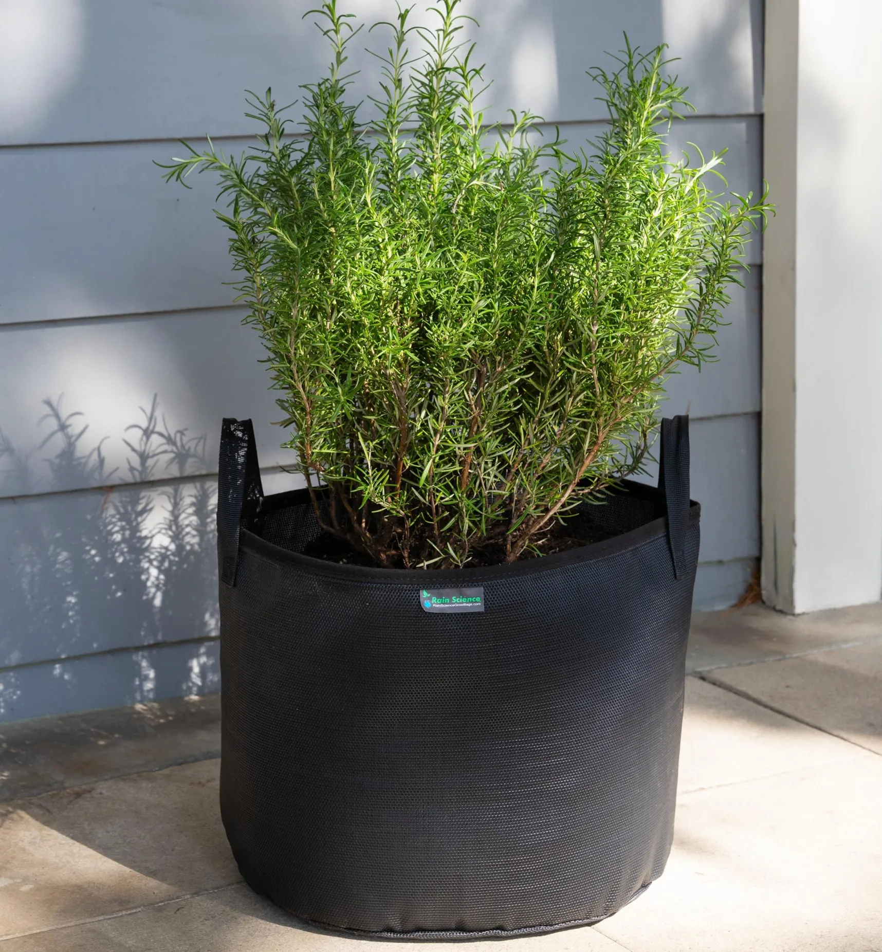 Clearance 10 Gallon Mesh Fabric Pot Container Gardening