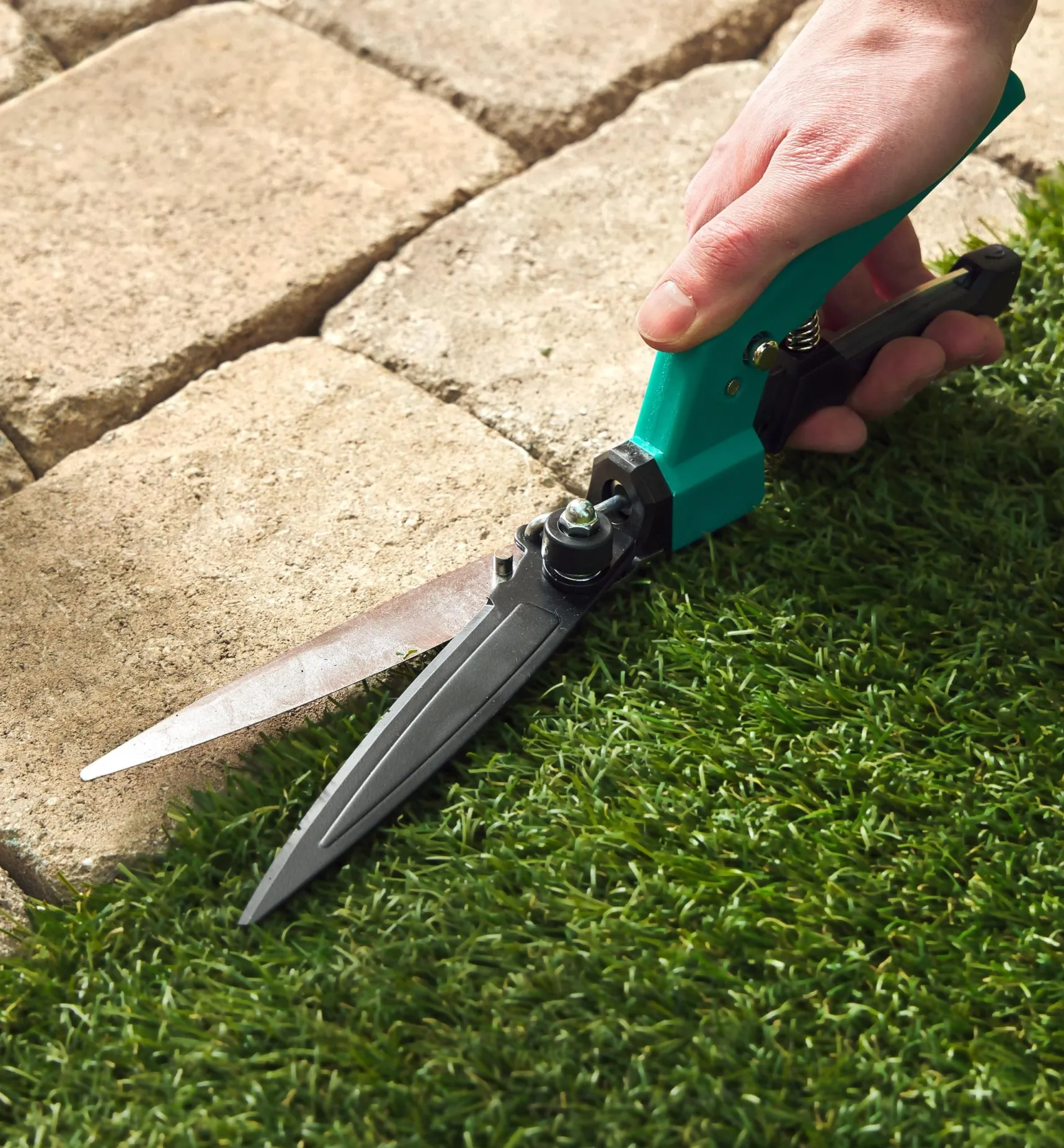 Clearance Adjustable Grass Shears Lawn Care