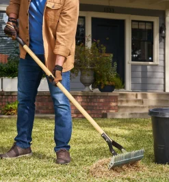 Best Adjustable Thatch Rake Rakes