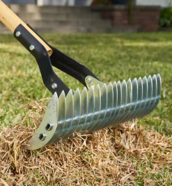 Best Adjustable Thatch Rake Rakes