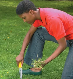 All-Purpose Lifetime Weeder Weeding