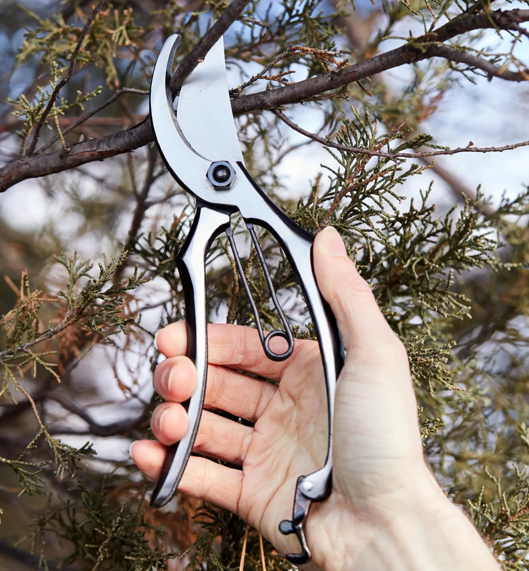 Hot All-Steel Bypass Pruner Pruners