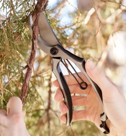 Hot All-Steel Bypass Pruner Pruners