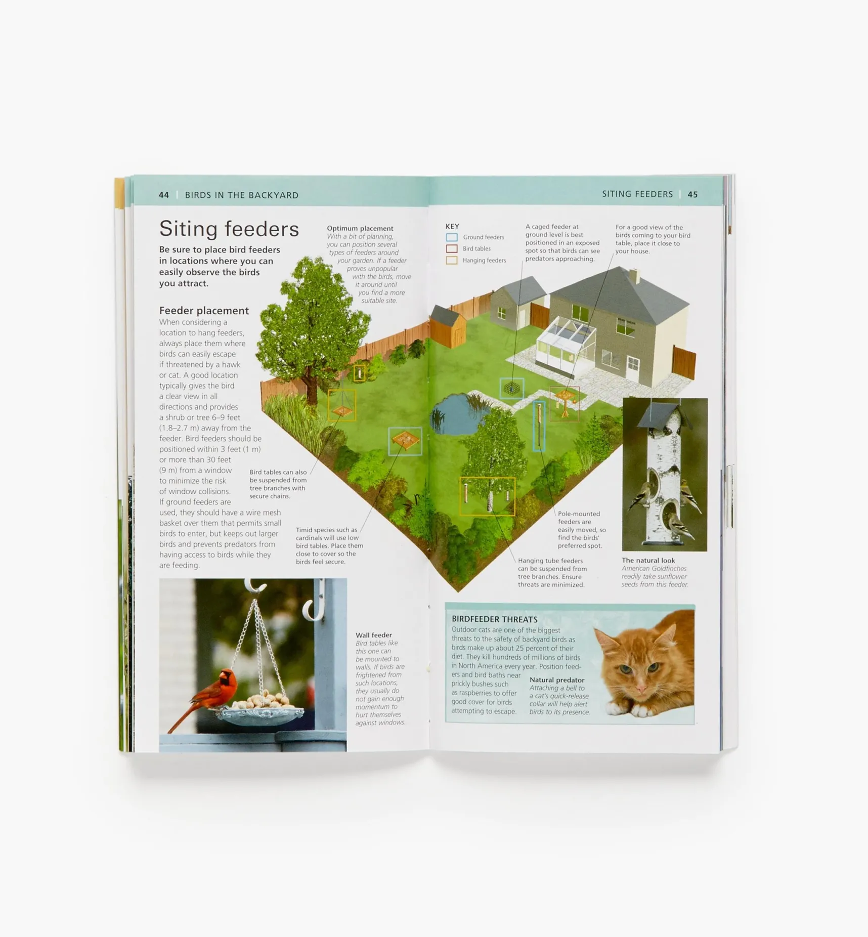 Hot Audubon Pocket Backyard Birdwatch Birding