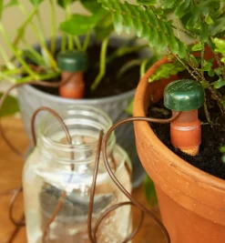 Sale Automatic Plant Waterers Indoor Gardening