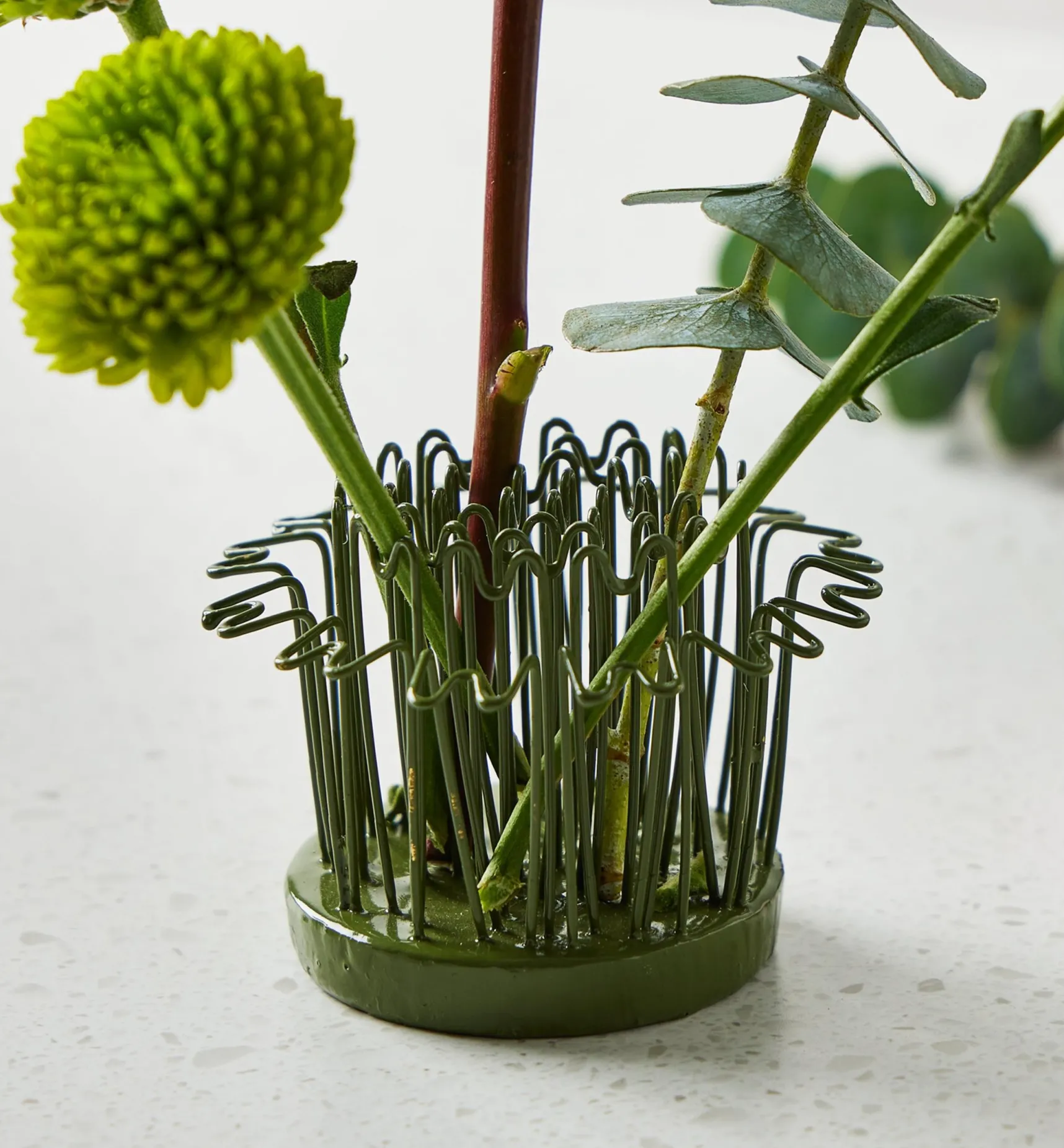 Clearance Blue Ribbon Flower Holder Indoor Gardening