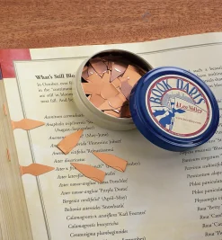 Sale Book Darts Office