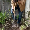 Best Border Fork Garden Care