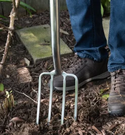 Best Border Fork Garden Care