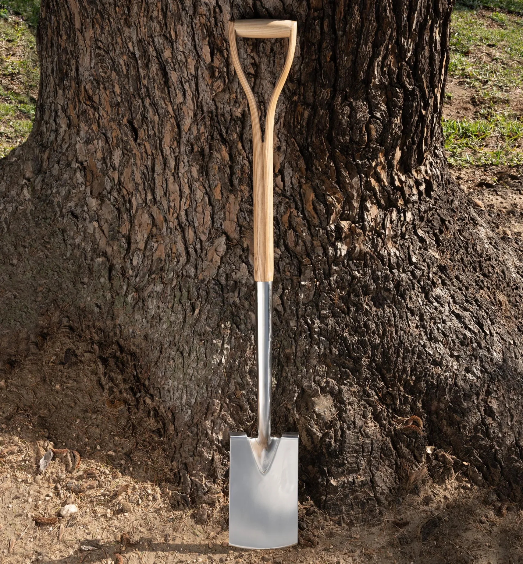 Online Border Spade Spades