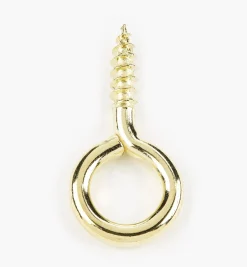 Clearance Brass-Plated Screw Eyes Hooks