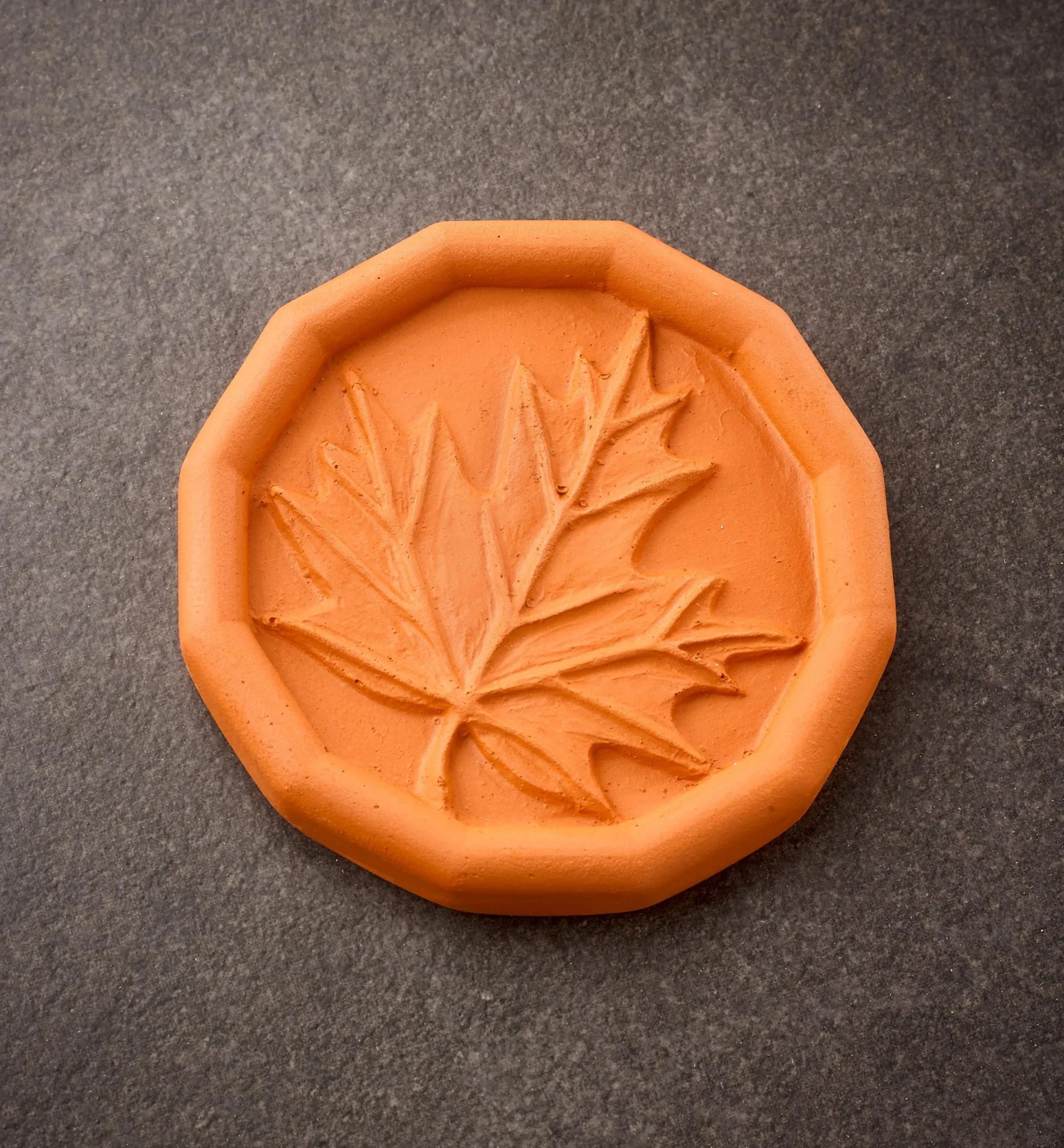 New Brown Sugar Saver Food Storage