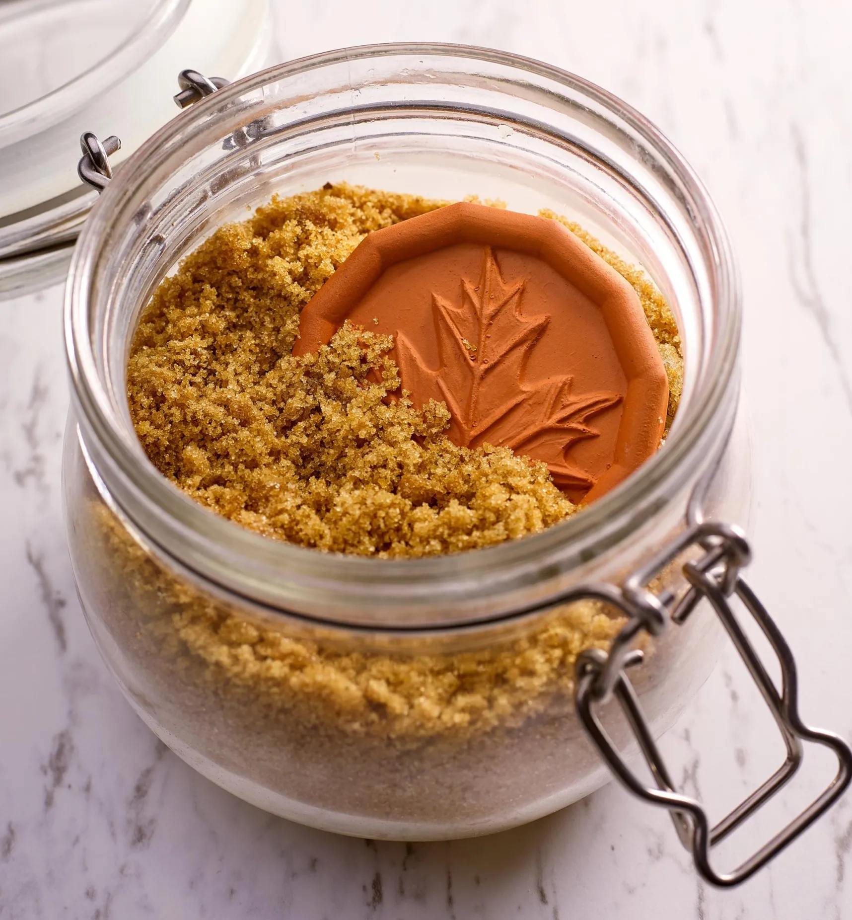 New Brown Sugar Saver Food Storage