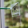 Outlet Bug Trapper Pest Control