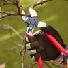 Clearance Castellari Double-Bladed Pruner Pruners