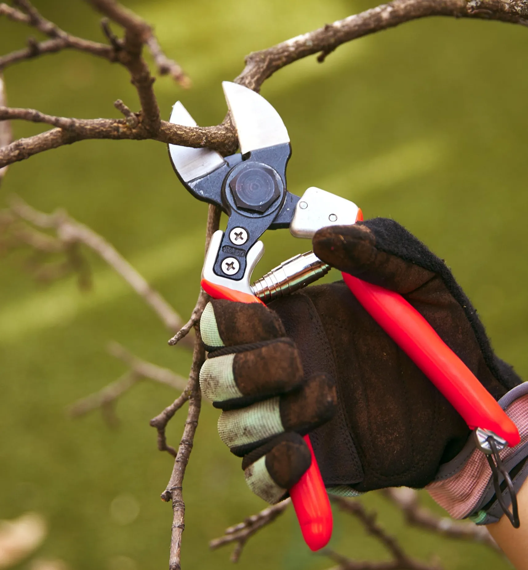 Clearance Castellari Double-Bladed Pruner Pruners