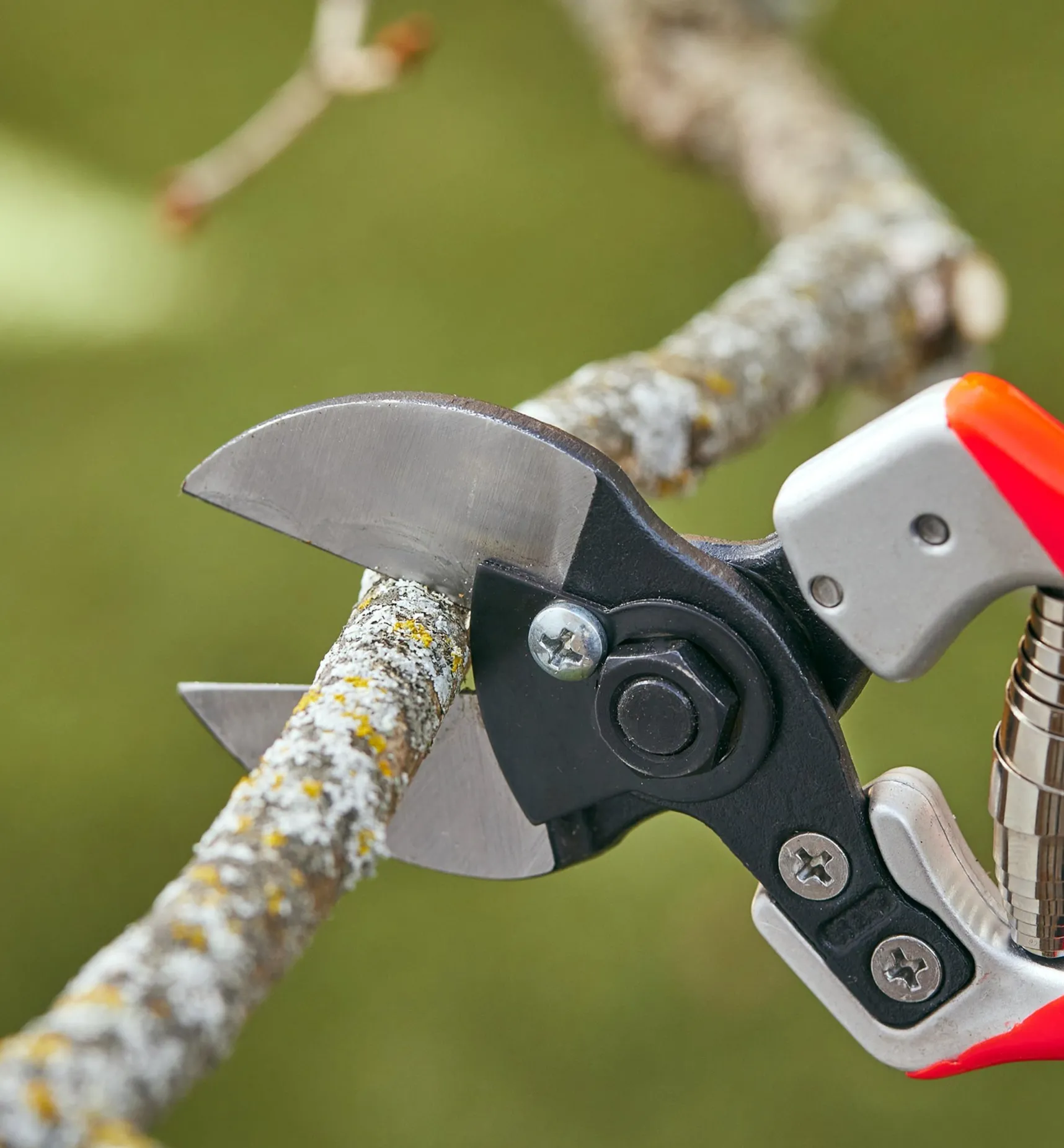 Clearance Castellari Double-Bladed Pruner Pruners