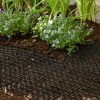 Best CatScat Mat Pest Control