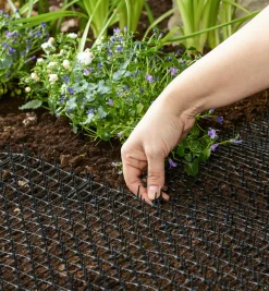 Best CatScat Mat Pest Control