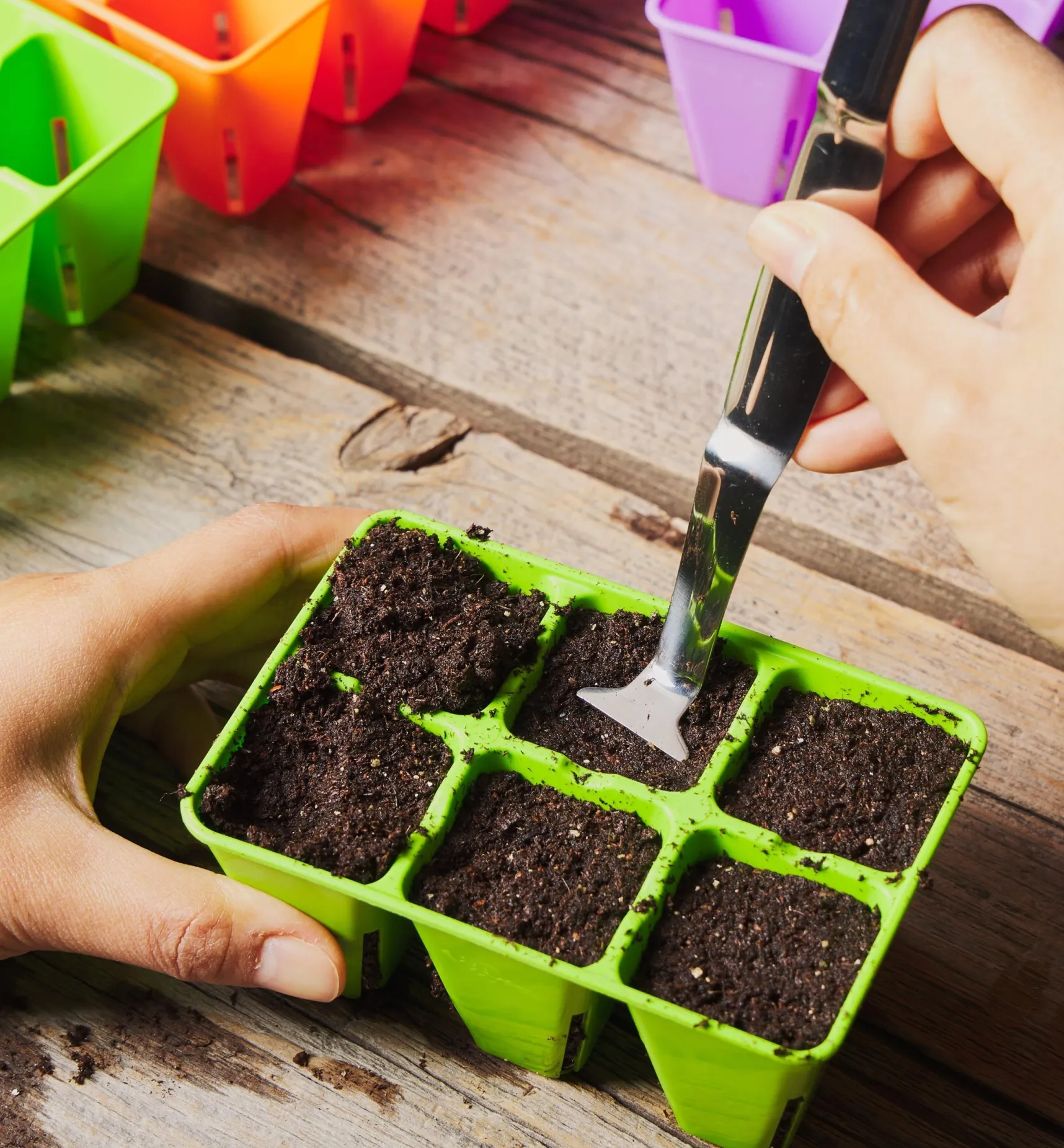 Outlet 72-Cell Modular Seed Starter With Propagation Tray Seed Starting