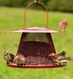 Outlet Collapsible Bird Feeder Birding