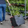 Online Collapsible Cart Storage & Organization