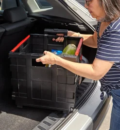 Online Collapsible Cart Storage & Organization