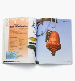 Clearance Complete Guide To Bird Carving Birding