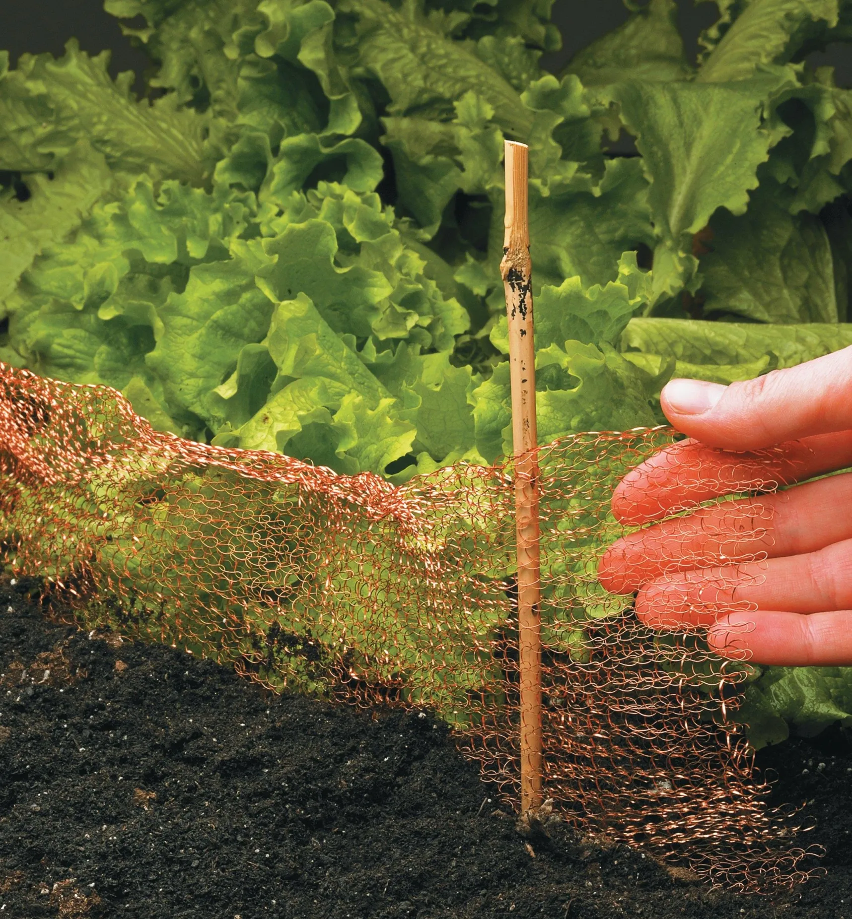 Sale Copper Blocker Pest Control