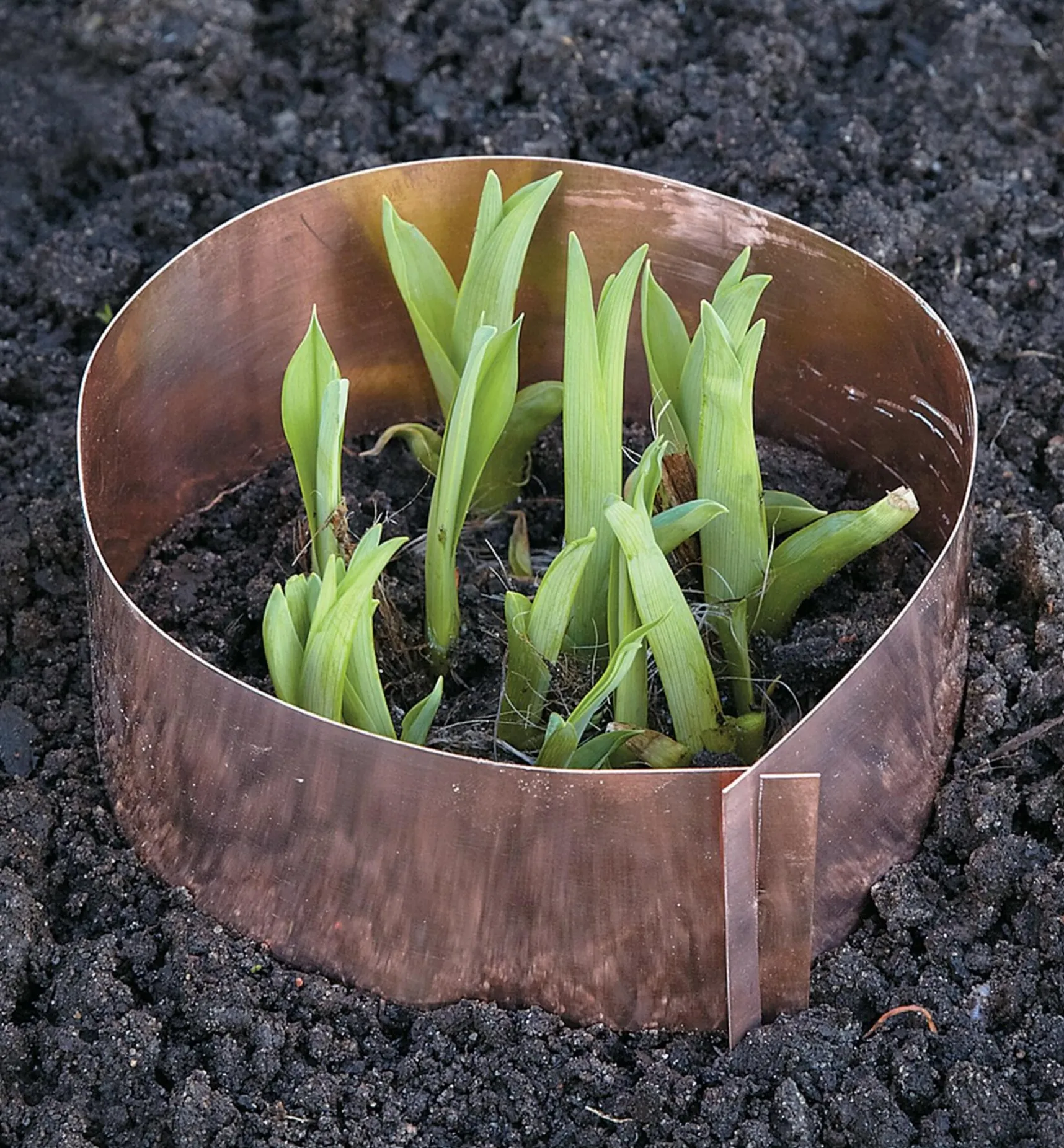 Clearance Copper Slug Rings Pest Control