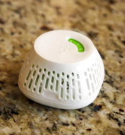 Discount Crisper Insert Food Storage
