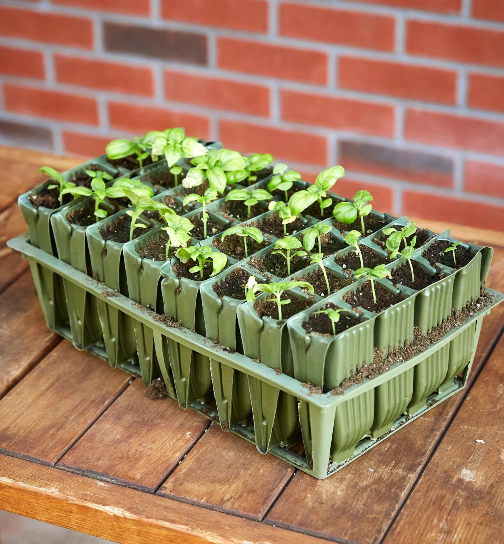 Sale Deep Rootrainers Set Propagation