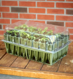 Sale Deep Rootrainers Set Propagation