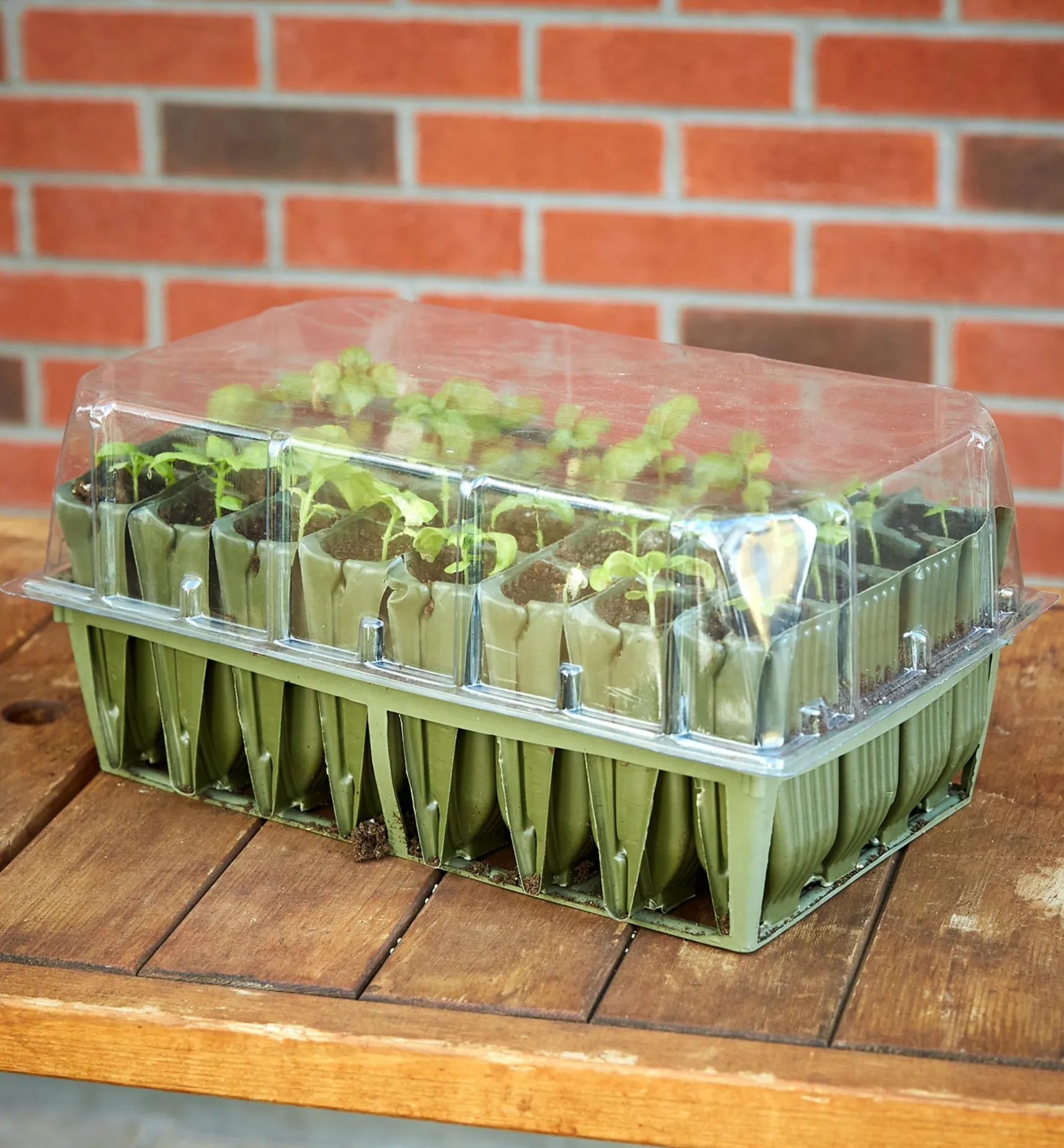 Sale Deep Rootrainers Set Propagation