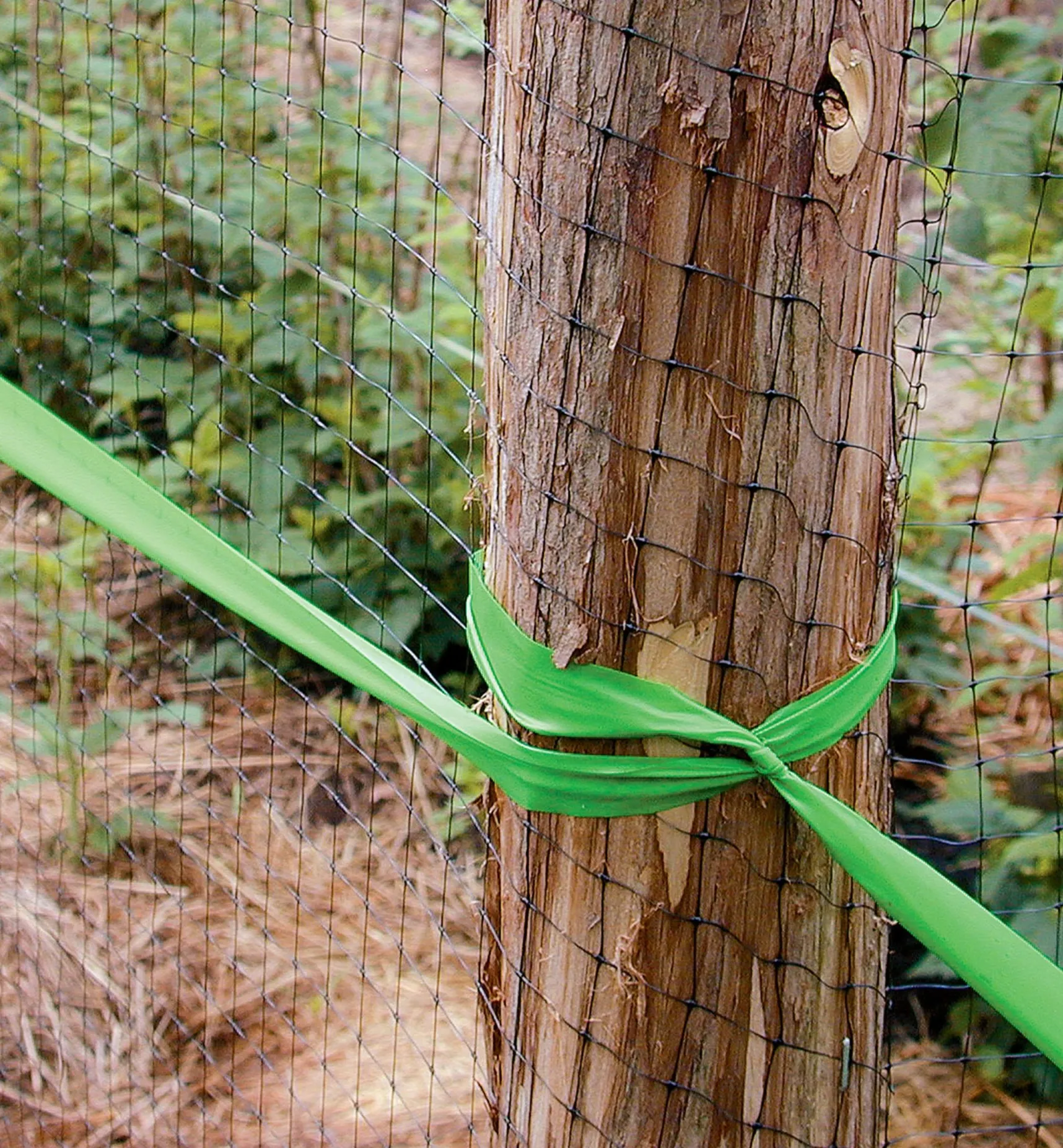Outlet Deer Fence Pest Control