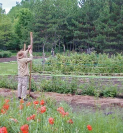 Outlet Deer Fence Pest Control