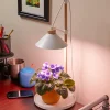 Discount Desktop LED Grow Lamp Grow Lights