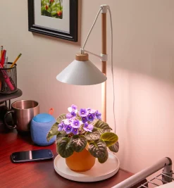 Discount Desktop LED Grow Lamp Grow Lights