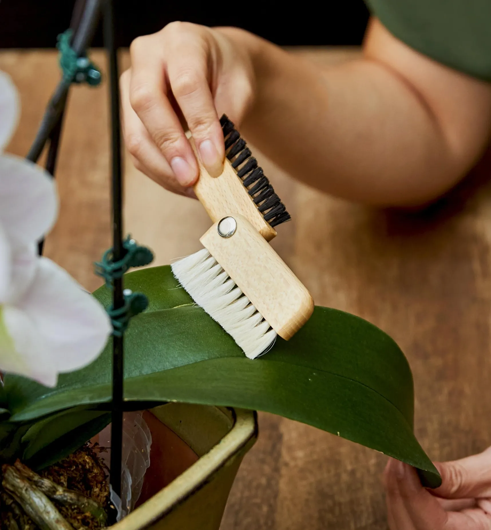 Clearance Detail Dusting Brush Cleaning