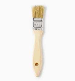 Best Disposable Natural-Bristle Brushes Supplies