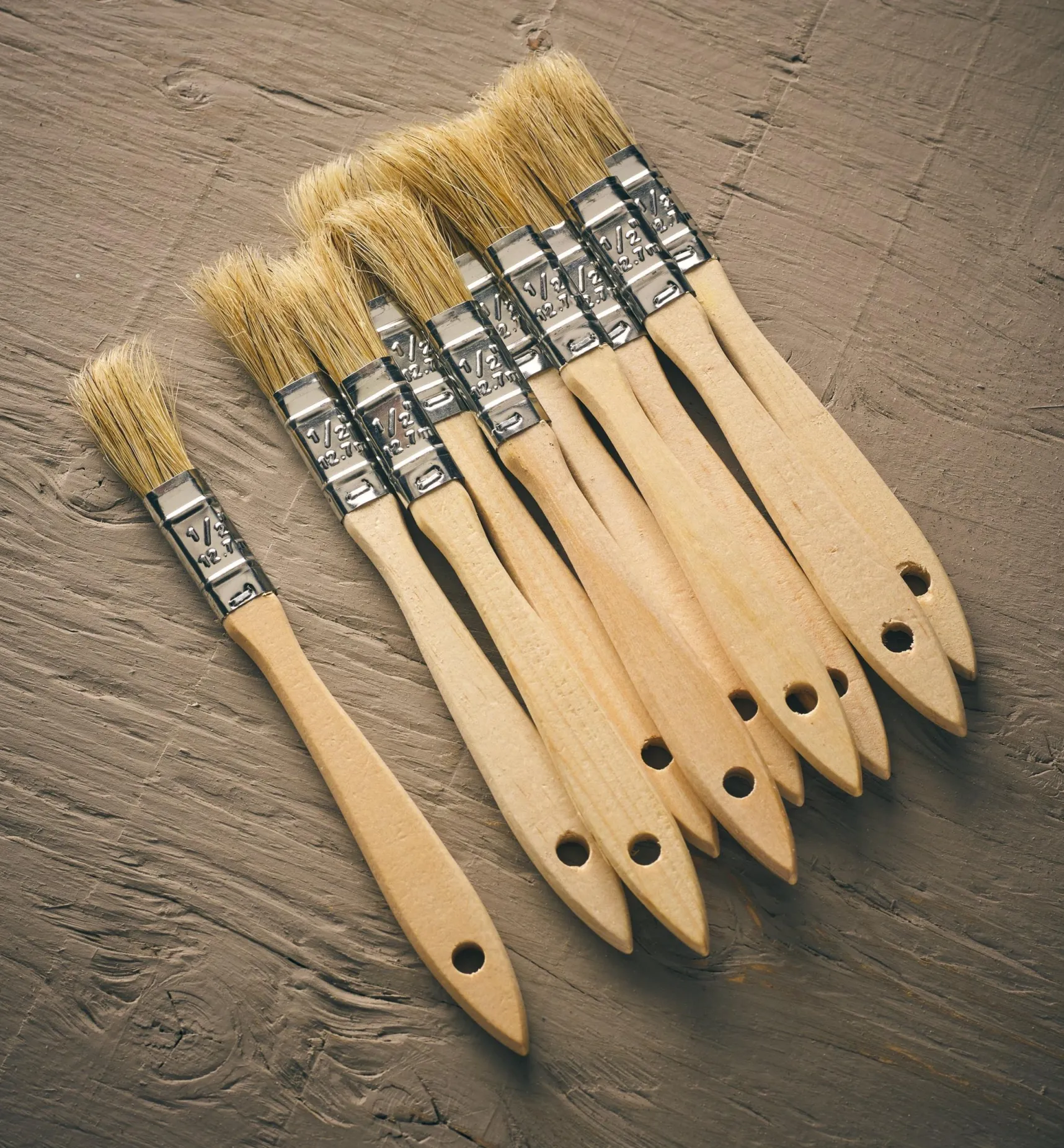 Best Disposable Natural-Bristle Brushes Supplies