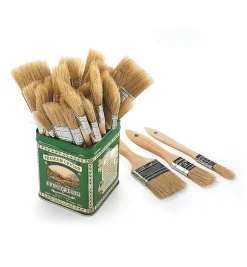 Best Disposable Natural-Bristle Brushes Supplies