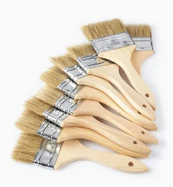 Best Disposable Natural-Bristle Brushes Supplies