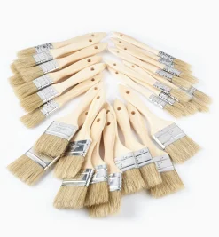 Best Disposable Natural-Bristle Brushes Supplies
