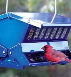 Outlet Double-Sided Large Squirrel-Resistant Feeder Birding