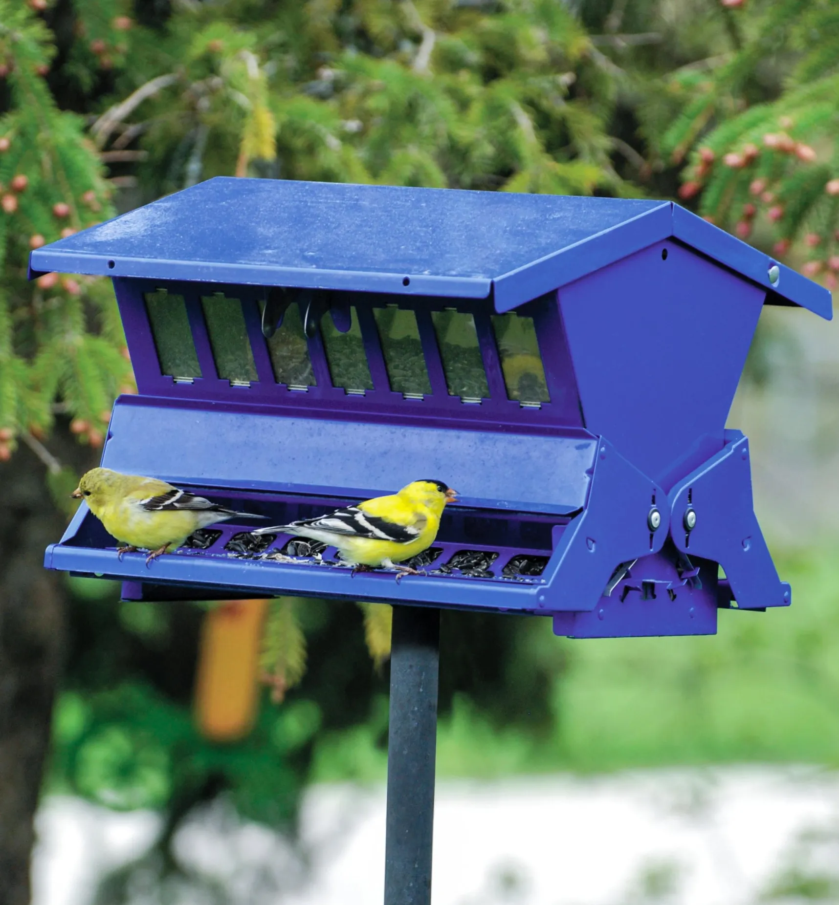 Outlet Double-Sided Large Squirrel-Resistant Feeder Birding