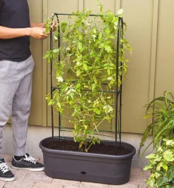 Outlet Elho Self-Watering Planter With Trellis Container Gardening