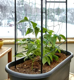 Outlet Elho Self-Watering Planter With Trellis Container Gardening