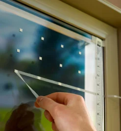 Best Feather Friendly Window Collision Tape Pest Control