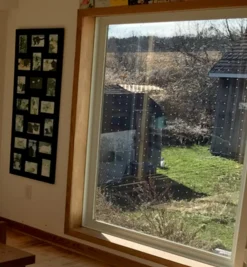 Best Feather Friendly Window Collision Tape Pest Control